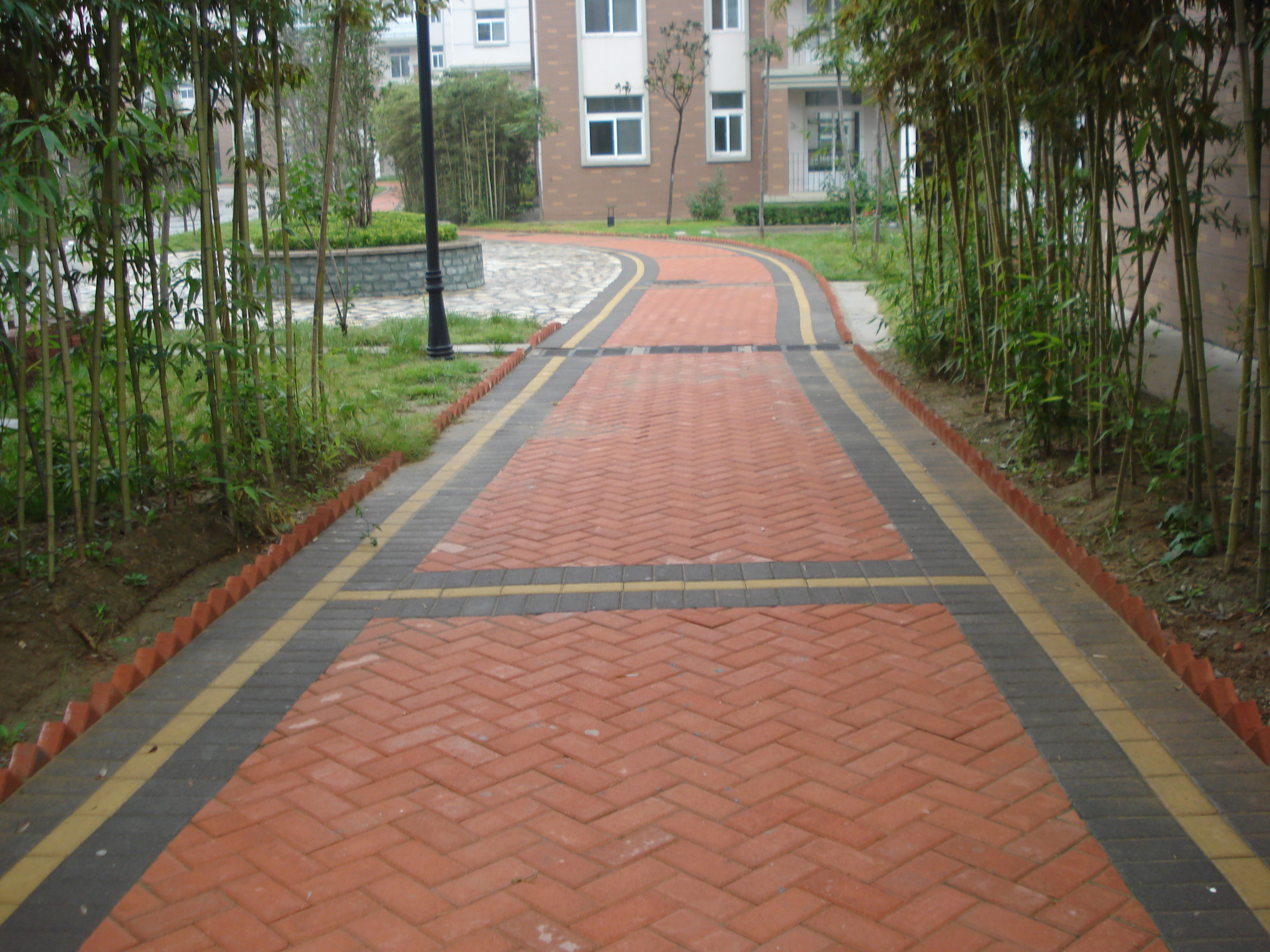 215.JPG